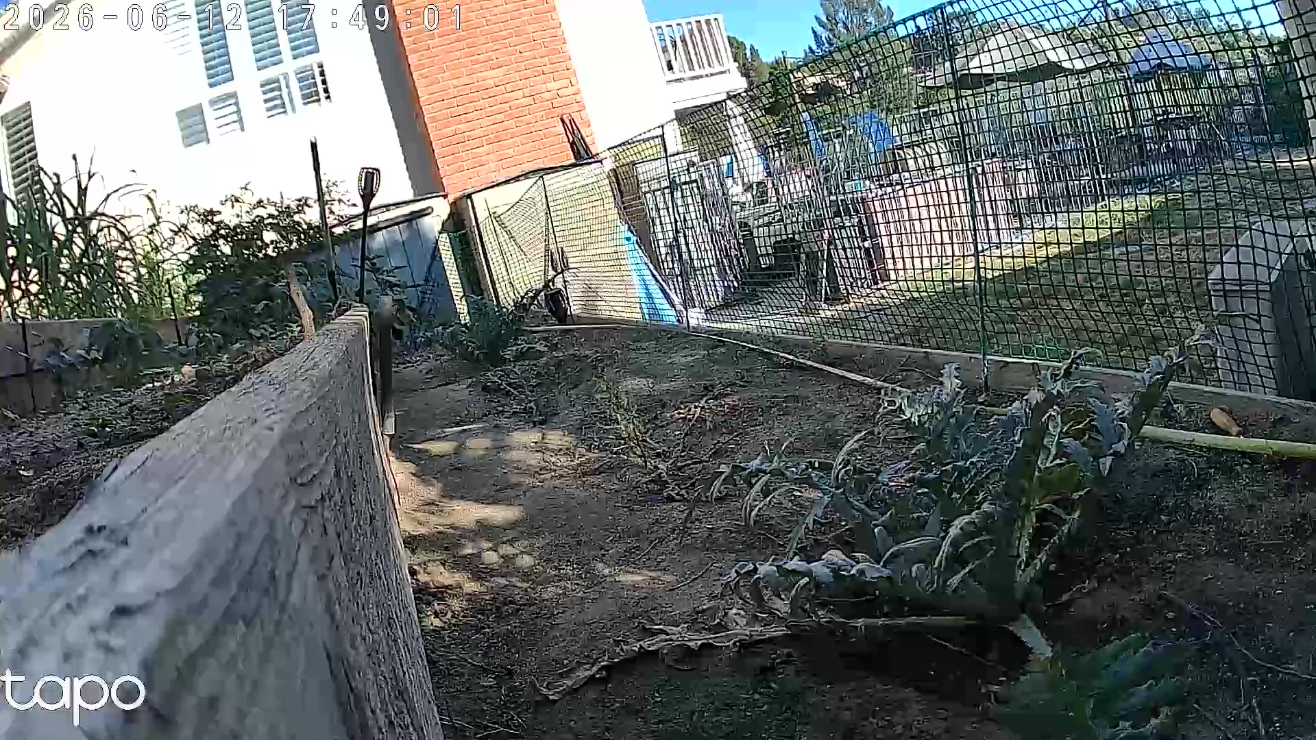Cam1
